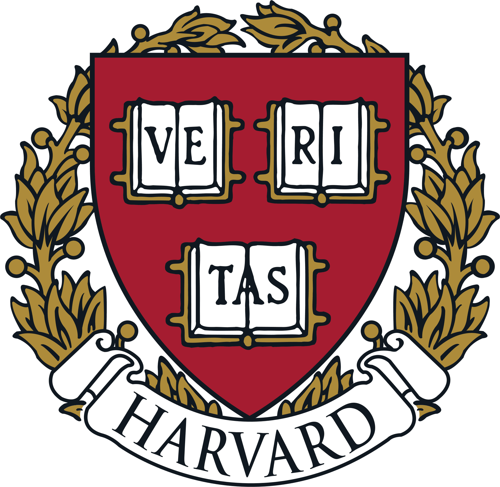 I studied Computer Science in college and participated in the Hasty Pudding Theatricals, a drag burlesque musical, and the Harvard Lampoon, a comedy magazine.